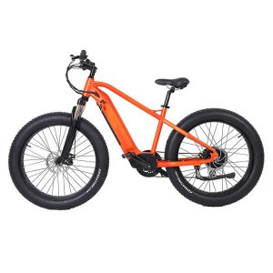 Vélo de montagne électrique KK3006