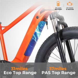 KK3006 Elektro-Mountainbike-Akku