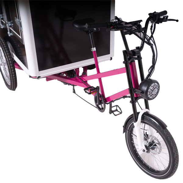 Boîte de transport taille XL pour Basketbike Tricycle électrique