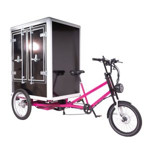 KK6001 Electric Cargo Trike