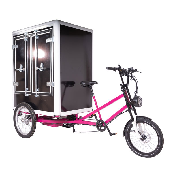 KK6001 Electric Cargo Trike