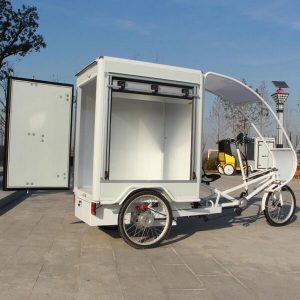 KK6003 Cargo-Dreirad mit elektrischer Unterstützung