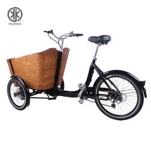 Bicicleta de carga eléctrica KK6006