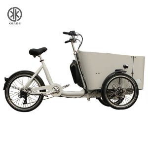 Triciclo eléctrico de carga frontal gris plateado KK6006