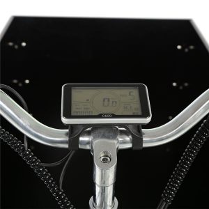 KK6010 Electric Cargo Tricycle Display