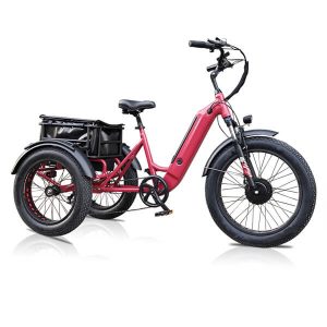 20" Triciclo adulto 3 RUOTE Single-SPEED Senior shopping Cargo Bicicletta Trike 