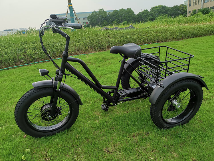 Electric Folding Tricycle
