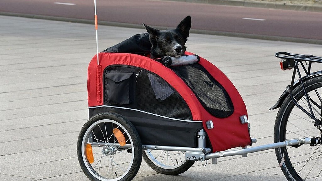 Remorque Pour Animaux De Compagnie À Vélo