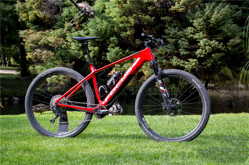 Hardtail E-Mtb