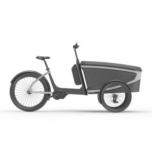 KK6088 Electric Cargo Tricycle