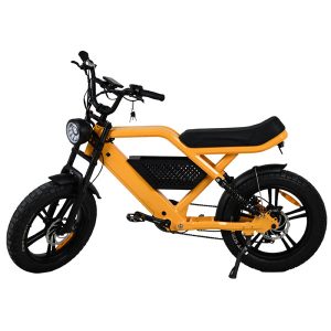 KK1008 Electric Mountain Bike