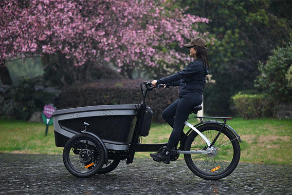 KK6088 Electric Cargo Bike Gallery 1