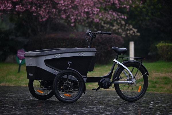 KK6088 Electric Cargo Bike Gallery 2